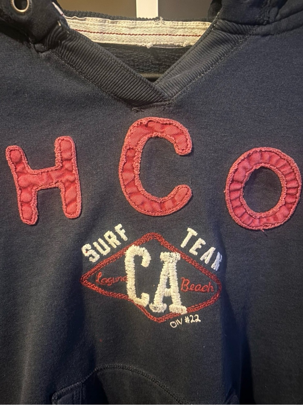 Y2K vintage Hollister hoodie